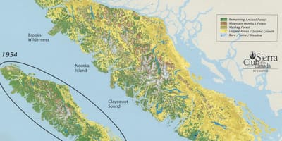 রেনফরেস্ট ভ্যাঙ্কুভার দ্বীপ মানচিত্র
